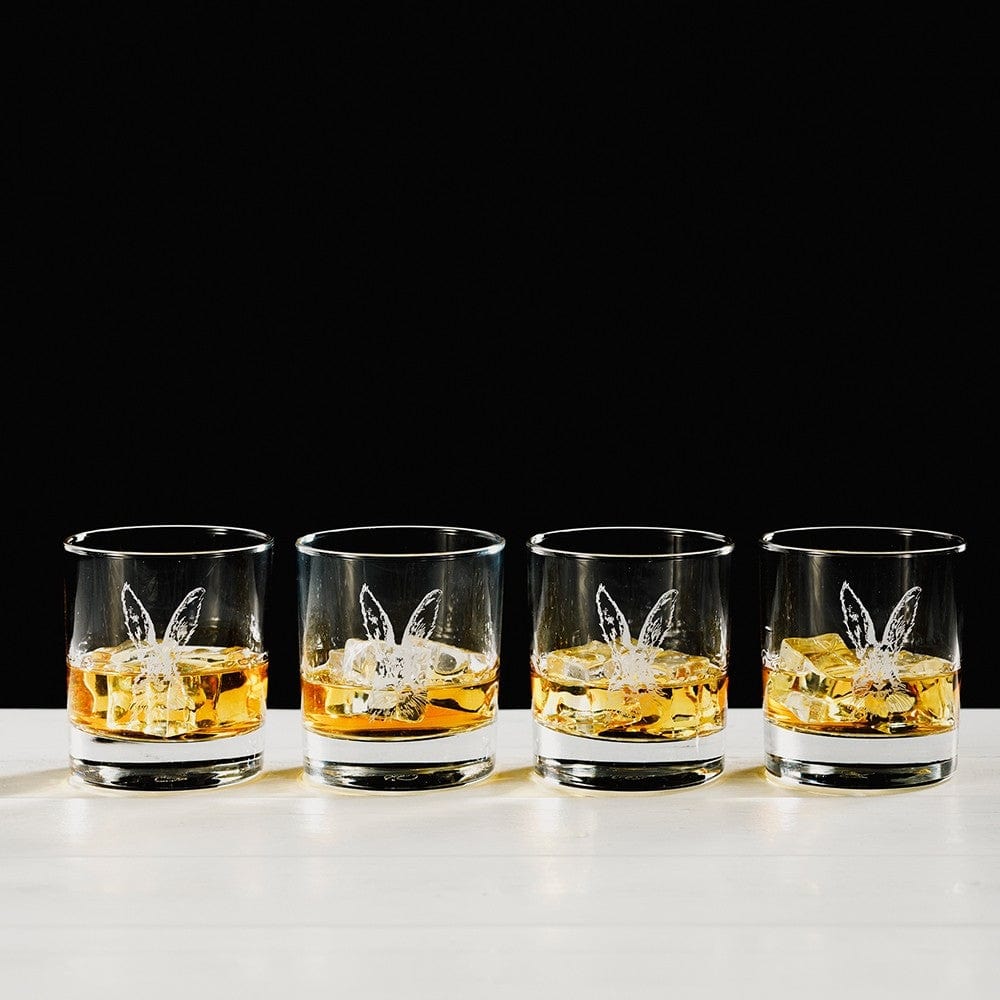 In this photo Whisky Tumblers 4x Hare Mood4Whisky